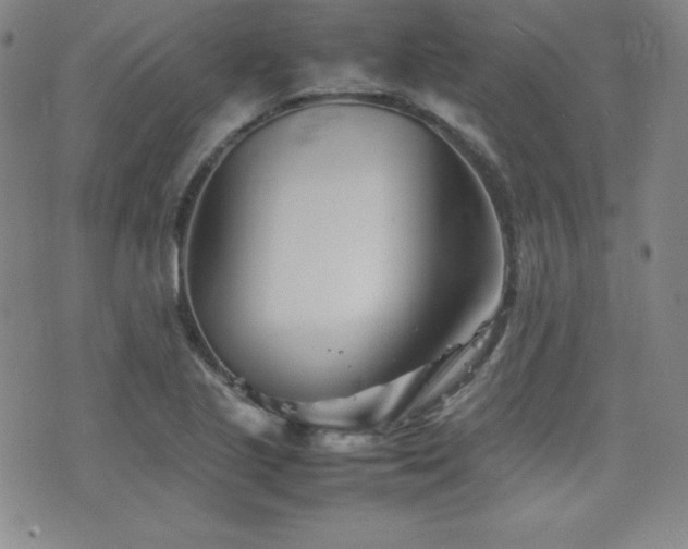 X0000077341221200610201251