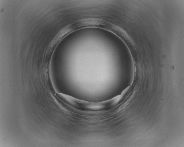 X0000077341225200610201251