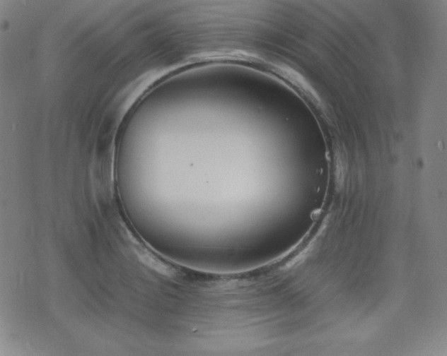 X0000077341228200610201251