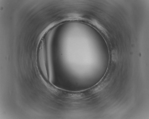 X0000077341229200610201251