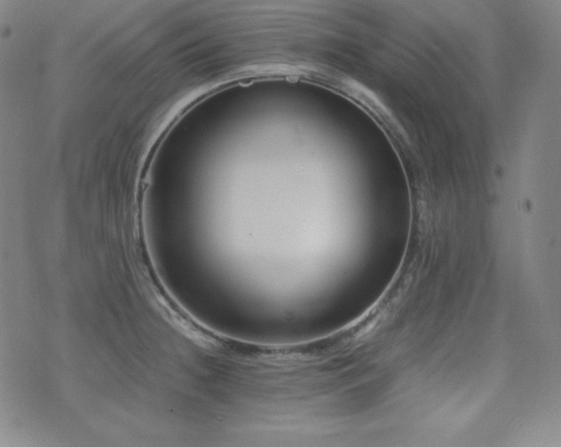 X0000077341236200610201251