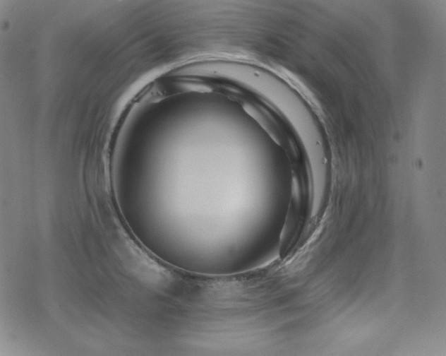 X0000077341238200610201251