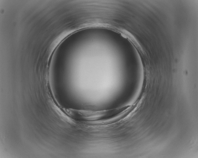 X0000077341244200610201251