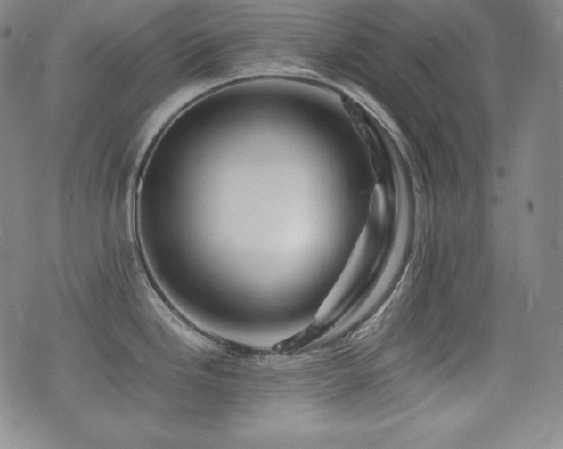 X0000077341246200610201251