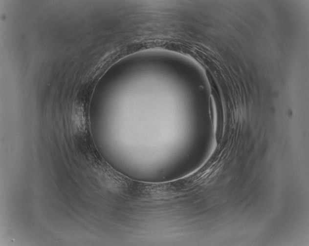 X0000077341252200610201250
