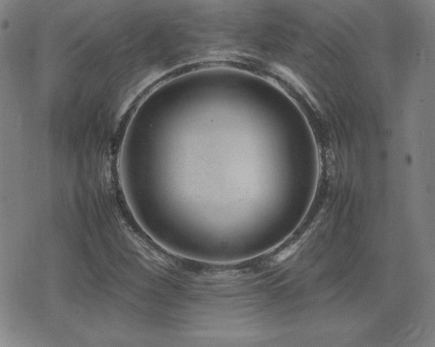 X0000077341260200610201250