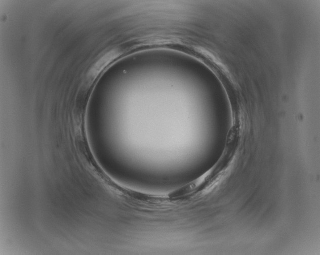 X0000077341273200610201250
