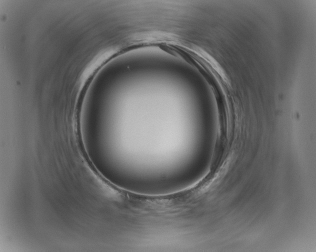 X0000077341285200610201250