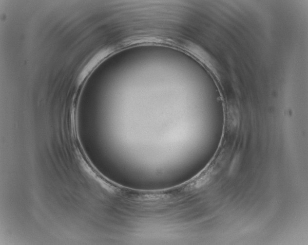 X0000077341290200610201250