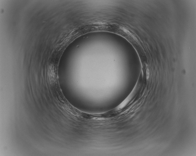 X0000077341298200610201249