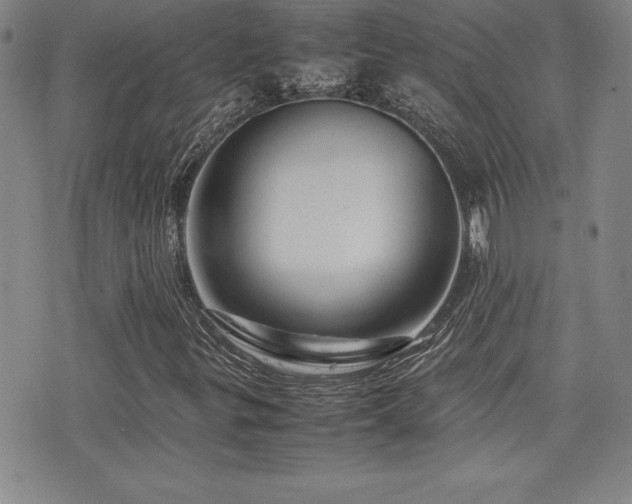 X0000077341299200610201249
