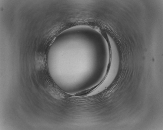 X0000077341300200610201249