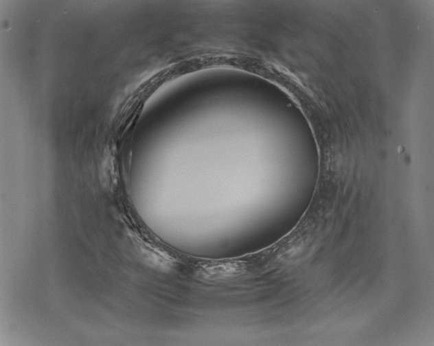 X0000077341303200610201249