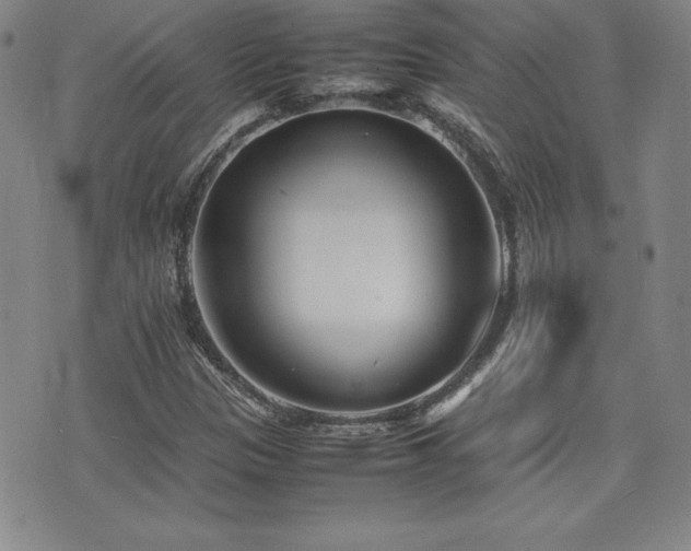 X0000077341305200610201249