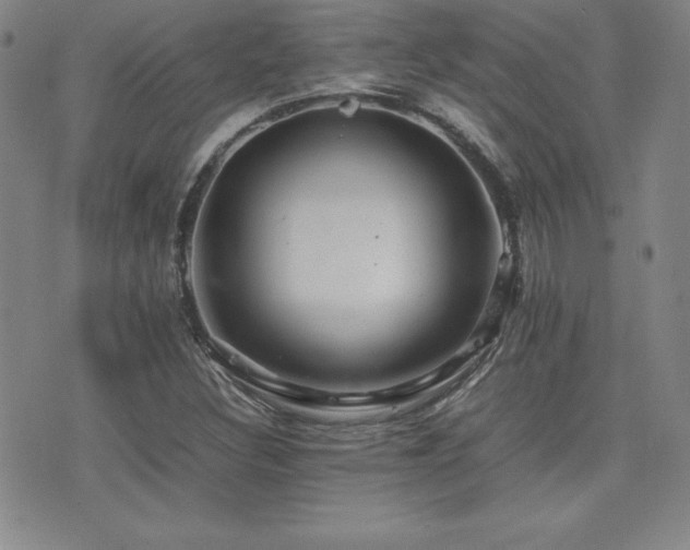 X0000077341308200610201249