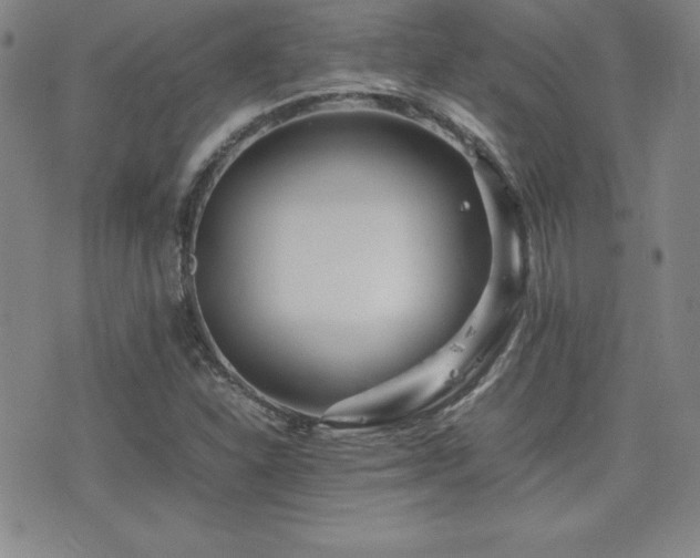 X0000077341310200610201249