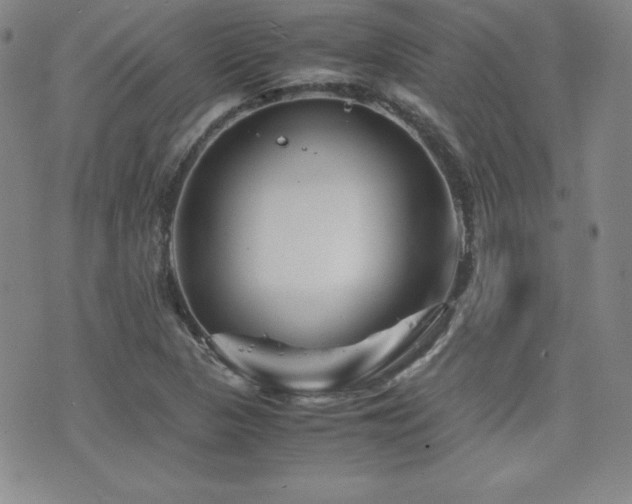 X0000077341313200610201249