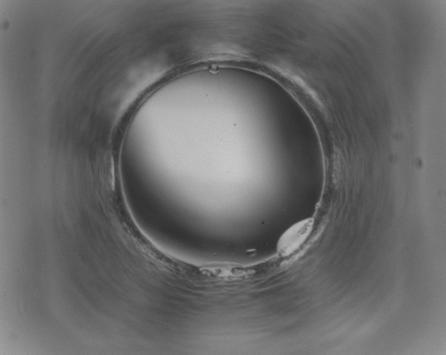 X0000077341317200610201249