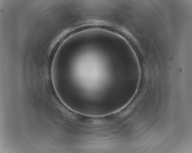 X0000077341318200610201249