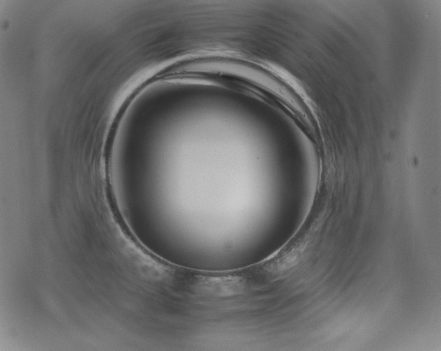 X0000077341335200610201249
