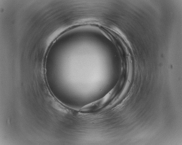 X0000077341336200610201249