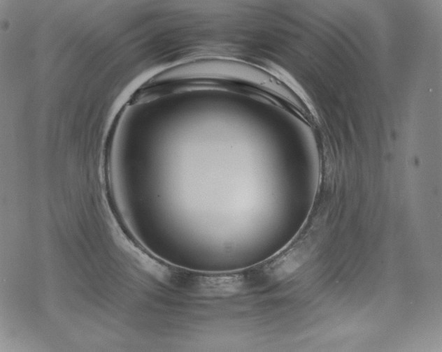 X0000077341339200610201249