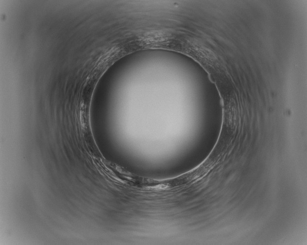 X0000077341346200610201249