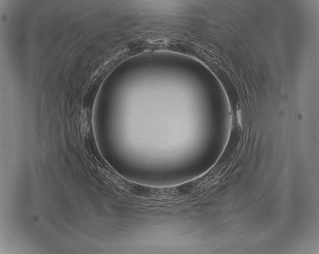 X0000077341347200610201249