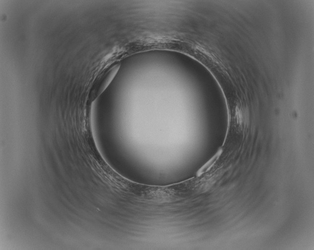 X0000077341348200610201249