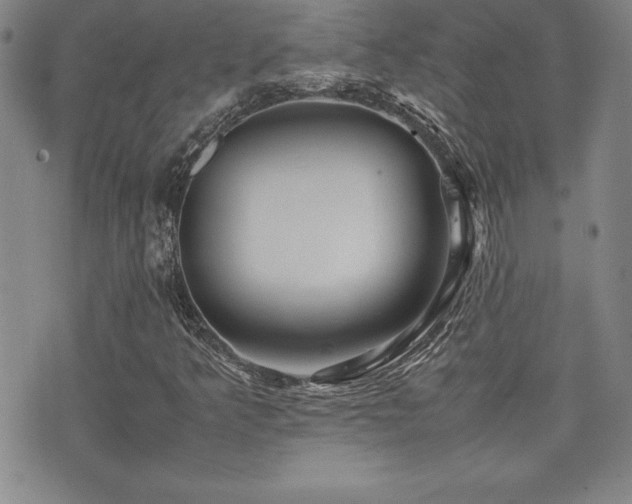 X0000077341349200610201249
