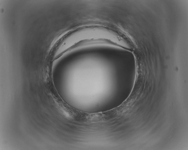 X0000077341352200610201249