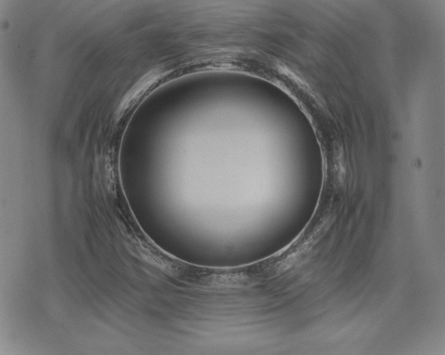 X0000077341354200610201249