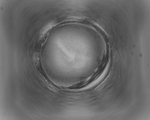 X0000077341355200610201249
