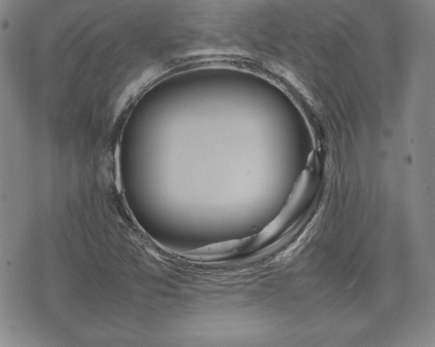 X0000077341357200610201249