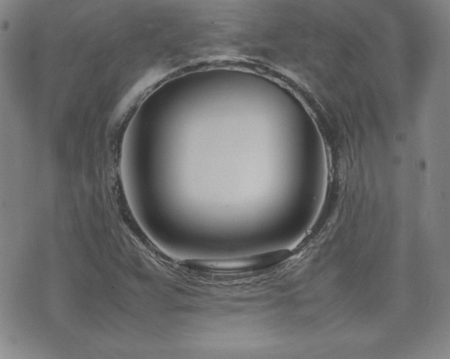X0000077341359200610201248
