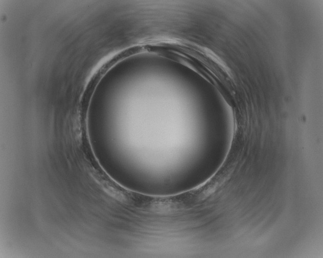 X0000077341364200610201248