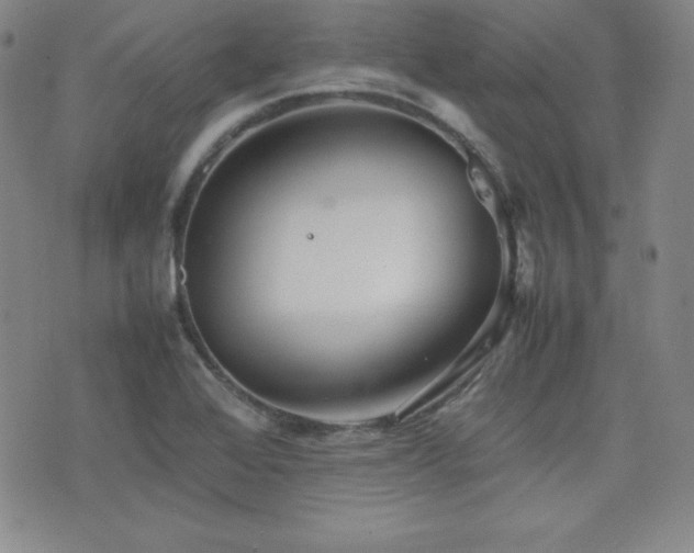 X0000077341368200610201248