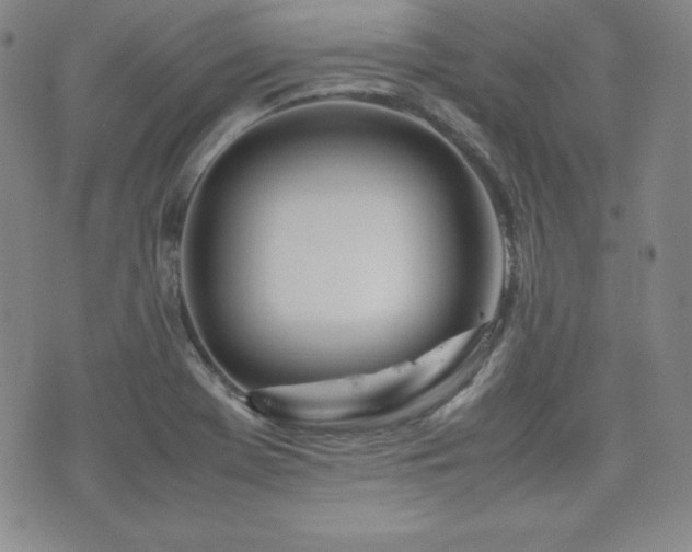 X0000077341369200610201248