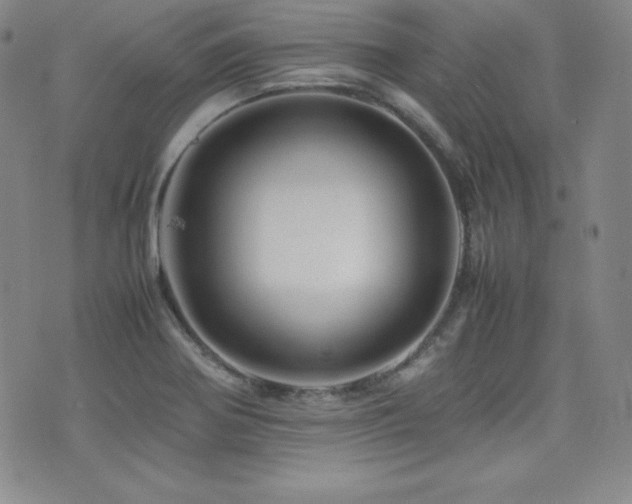 X0000077341370200610201248