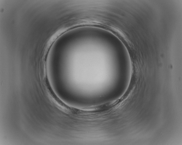 X0000077341371200610201248