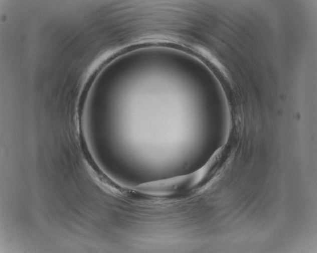 X0000077341372200610201248