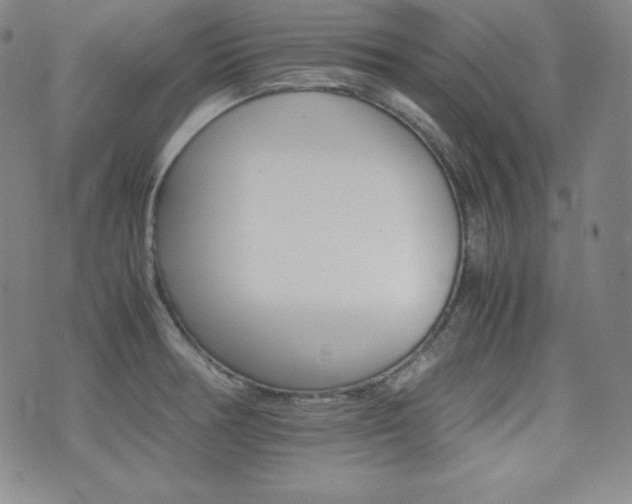 X0000077341378200610201248