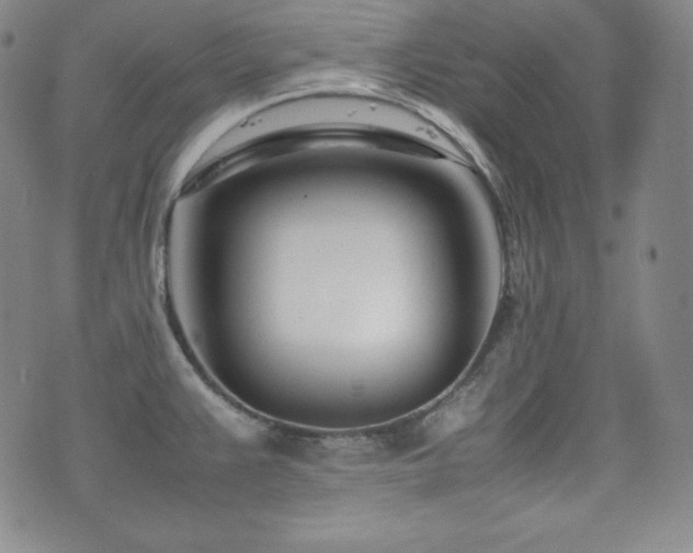 X0000077341383200610201248