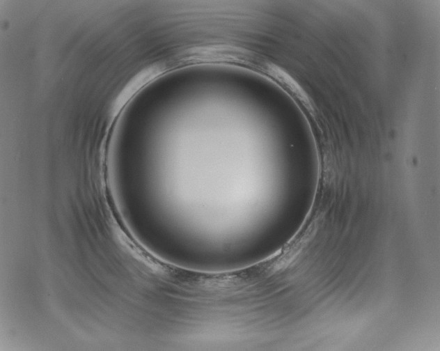 X0000077341386200610201248