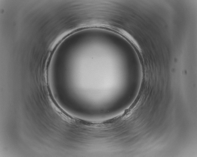 X0000077341388200610201248