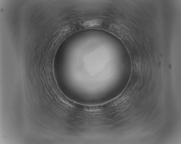 X0000077341393200610201247