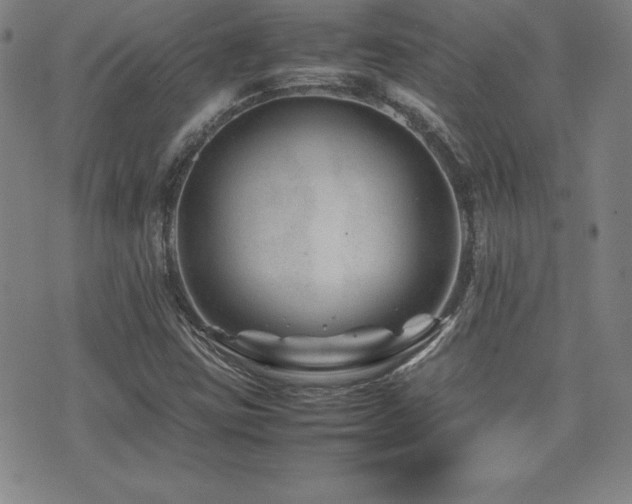 X0000077341403200610201247