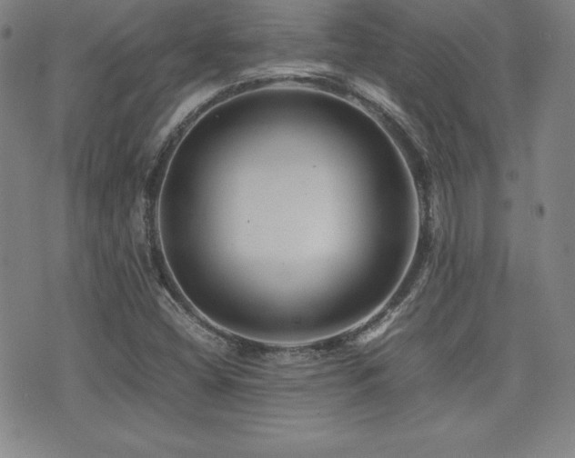 X0000077341404200610201247