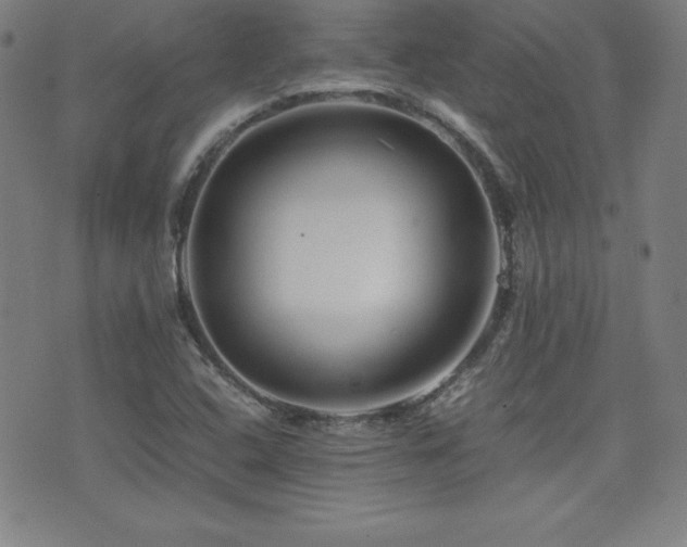 X0000077341408200610201247