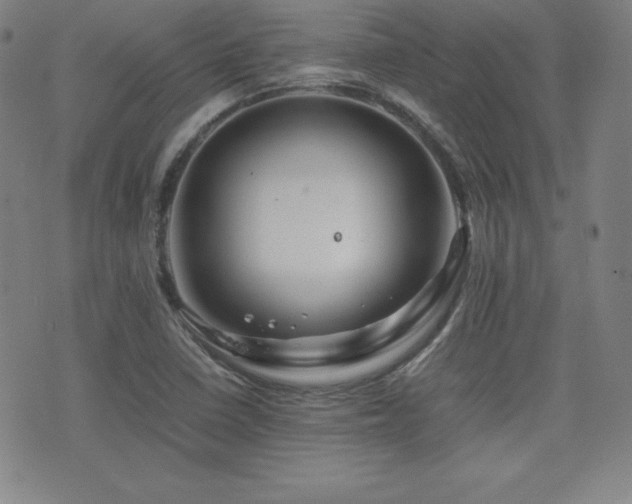 X0000077341410200610201247